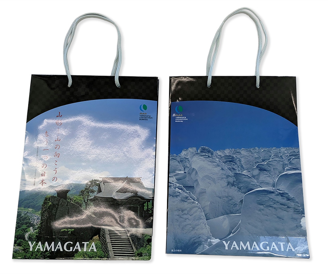 コングレスバッグ