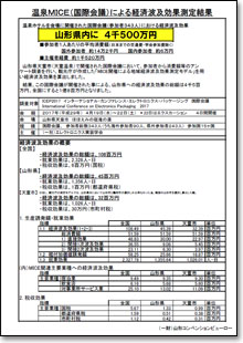 ICEP2017経済波及効果（結果）